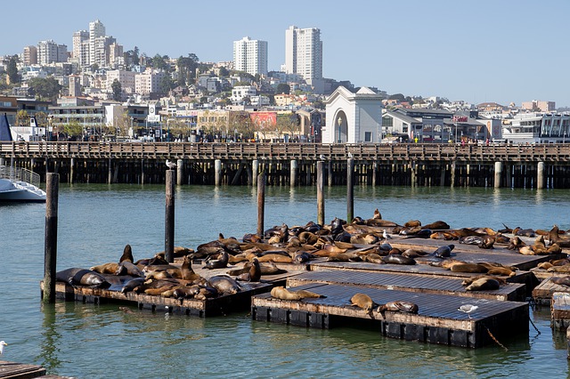 Gratis download Pier 39 San Francisco Californië - gratis gratis foto of afbeelding om te bewerken met GIMP online afbeeldingseditor