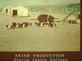 Free download Pierce college teaching slides free photo or picture to be edited with GIMP online image editor