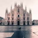 Pigeon in front of the cathedral  screen for extension Chrome web store in OffiDocs Chromium