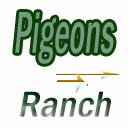 Pigeon Ranch  screen for extension Chrome web store in OffiDocs Chromium