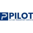 Pilot and Car Theme  screen for extension Chrome web store in OffiDocs Chromium