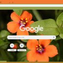 Pimpernel  screen for extension Chrome web store in OffiDocs Chromium