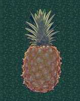 Free download Pineapple free photo or picture to be edited with GIMP online image editor