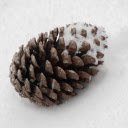 pine cones falling under the snow  screen for extension Chrome web store in OffiDocs Chromium