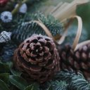 PINE FRUITTheme  screen for extension Chrome web store in OffiDocs Chromium
