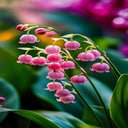 Pink bell flower wallpaper  screen for extension Chrome web store in OffiDocs Chromium