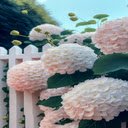 Pink hydrangeas wallpaper  screen for extension Chrome web store in OffiDocs Chromium