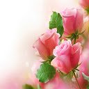 Pink Roses Puzzle  screen for extension Chrome web store in OffiDocs Chromium
