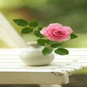 Pink rose vase wallpaper  screen for extension Chrome web store in OffiDocs Chromium