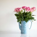 Pink Vase  screen for extension Chrome web store in OffiDocs Chromium