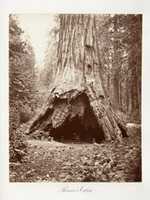 Free picture Pioneers Cabin to be edited by GIMP online free image editor by OffiDocs