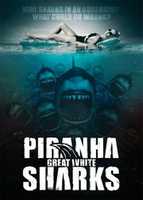 Muat turun percuma gambar atau gambar percuma Piranha Sharks untuk diedit dengan editor imej dalam talian GIMP