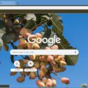 Pistachio Tree  screen for extension Chrome web store in OffiDocs Chromium