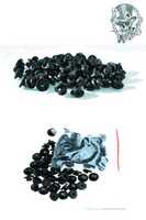 Free download PLANTILLA GROMMETS free photo or picture to be edited with GIMP online image editor