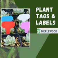 免费下载植物标签和标签| 完美的植物标签 - Merlewood 免费照片或图片可使用 GIMP 在线图像编辑器进行编辑