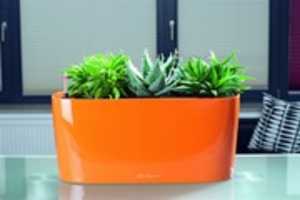 Free download Plastic Self Watering Pots free photo or picture to be edited with GIMP online image editor