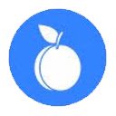 PlumGO  screen for extension Chrome web store in OffiDocs Chromium