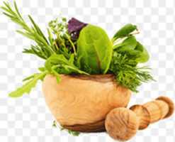 Free download png-clipart-vegetables-ayurveda-medicine-herb-health-medicinal-plants-herbal-plants-natural-foods-leaf-vegetable-thumbnail free photo or picture to be edited with GIMP online image editor