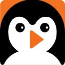 PNGuin Safezone Video Overlay  screen for extension Chrome web store in OffiDocs Chromium