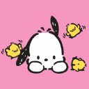 Pochacco Wallpapers New Tab  screen for extension Chrome web store in OffiDocs Chromium