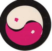Free download Pogs - Taijitu free photo or picture to be edited with GIMP online image editor