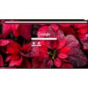 Poinsettia  screen for extension Chrome web store in OffiDocs Chromium