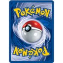 Pokémon Trading Card Game(PTCG) printer  screen for extension Chrome web store in OffiDocs Chromium