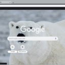 Polar Bear  screen for extension Chrome web store in OffiDocs Chromium