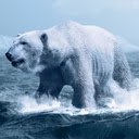 Polar Bear  screen for extension Chrome web store in OffiDocs Chromium