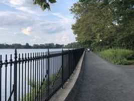 Free download Pond in Central Park, NYC in 2019 free photo or picture to be edited with GIMP online image editor