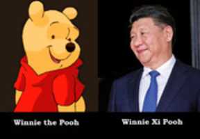 Free download Pooh Meets Pooh free photo or picture to be edited with GIMP online image editor