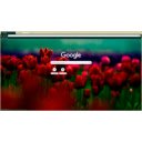 poppies  screen for extension Chrome web store in OffiDocs Chromium