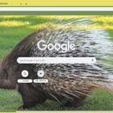 Porcupine  screen for extension Chrome web store in OffiDocs Chromium