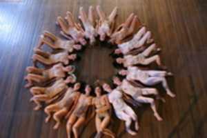 Free download porn 1 pussys. free photo or picture to be edited with GIMP online image editor
