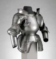 Free download Portions of a Field Armor free photo or picture to be edited with GIMP online image editor