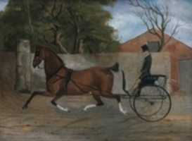 Free download Portrait of a Gentleman in a Carriage free photo or picture to be edited with GIMP online image editor