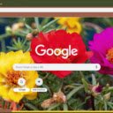 Portulaca  screen for extension Chrome web store in OffiDocs Chromium
