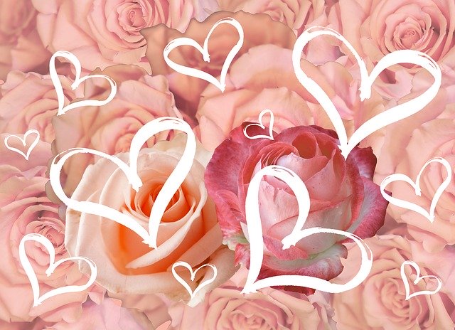 Free download postcard flowers for the beloved free picture to be edited with GIMP free online image editor