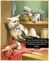 Free download post-left cats free photo or picture to be edited with GIMP online image editor