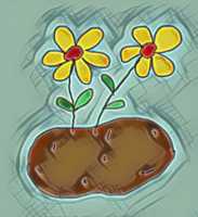 Free download Potato Daisies free photo or picture to be edited with GIMP online image editor