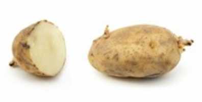 Free download Potato free photo or picture to be edited with GIMP online image editor
