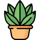 Potted Plant Pattern  screen for extension Chrome web store in OffiDocs Chromium