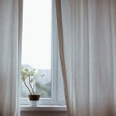 Potted plants next to the window  screen for extension Chrome web store in OffiDocs Chromium