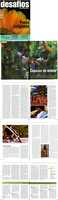 Free download povosindigenas-capazes de vencer free photo or picture to be edited with GIMP online image editor