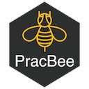Pracbee Exam Proctoring  screen for extension Chrome web store in OffiDocs Chromium
