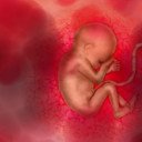 Pregnancy by Marta van Eck  screen for extension Chrome web store in OffiDocs Chromium