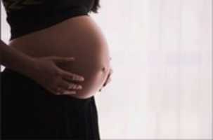Free download Pregnancy Precautions - Just Be Best free photo or picture to be edited with GIMP online image editor