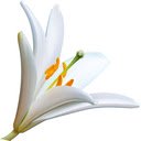 Primrose  screen for extension Chrome web store in OffiDocs Chromium