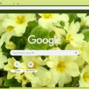 Primrose  screen for extension Chrome web store in OffiDocs Chromium