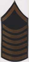 Free download Private First Class Specialist Chevrons, 1920-1948 free photo or picture to be edited with GIMP online image editor
